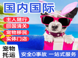 鄂伦春机场货运国际宠物托运 【国